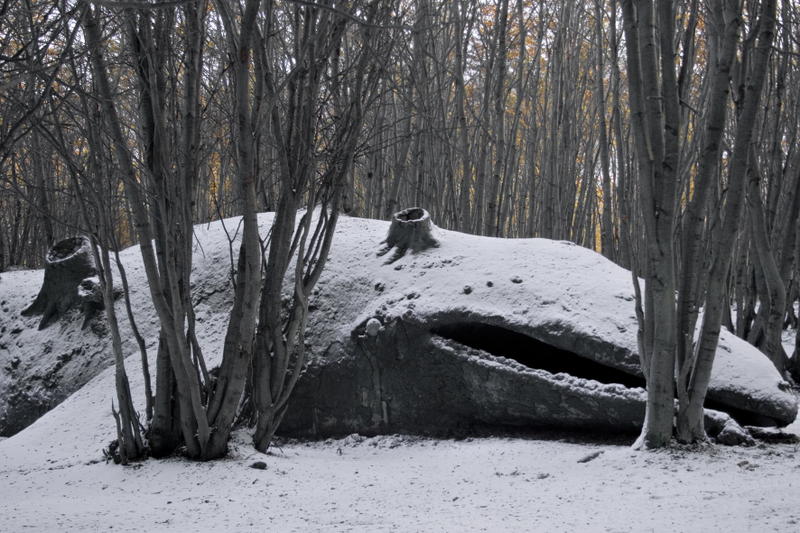 Illustration for article titled This sculptor builds incredible dead sea monsters trapped on land